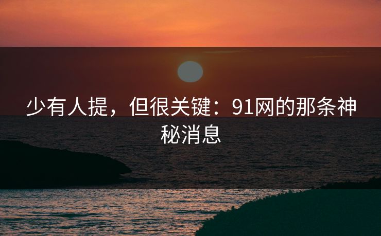 少有人提，但很关键：91网的那条神秘消息